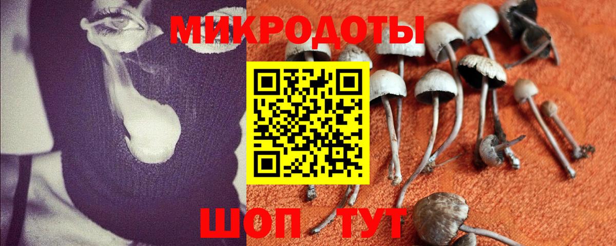 Сургут  Галлюциногенные грибы мицелий  Вход с VPN 
